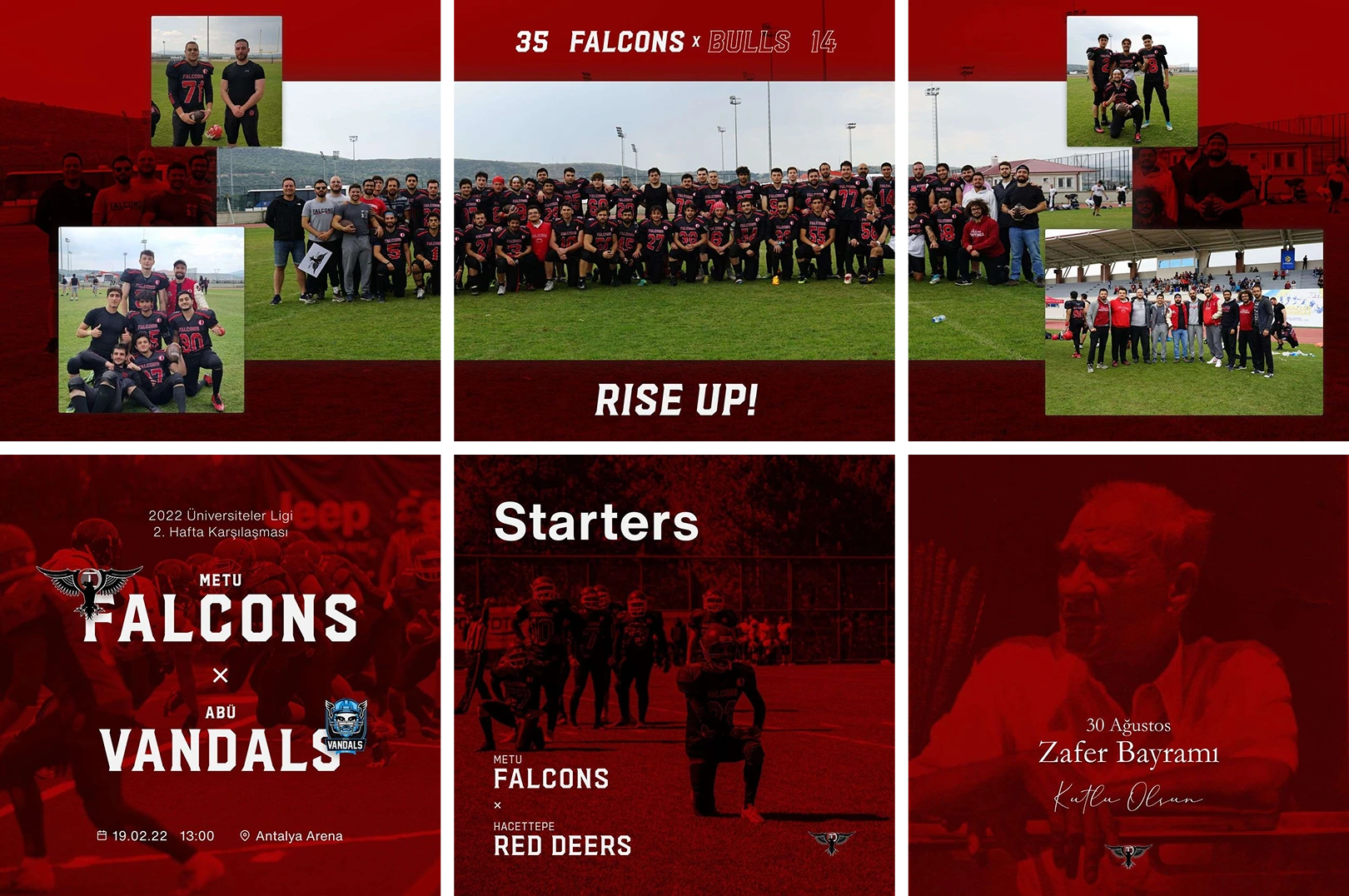 Falcons 01