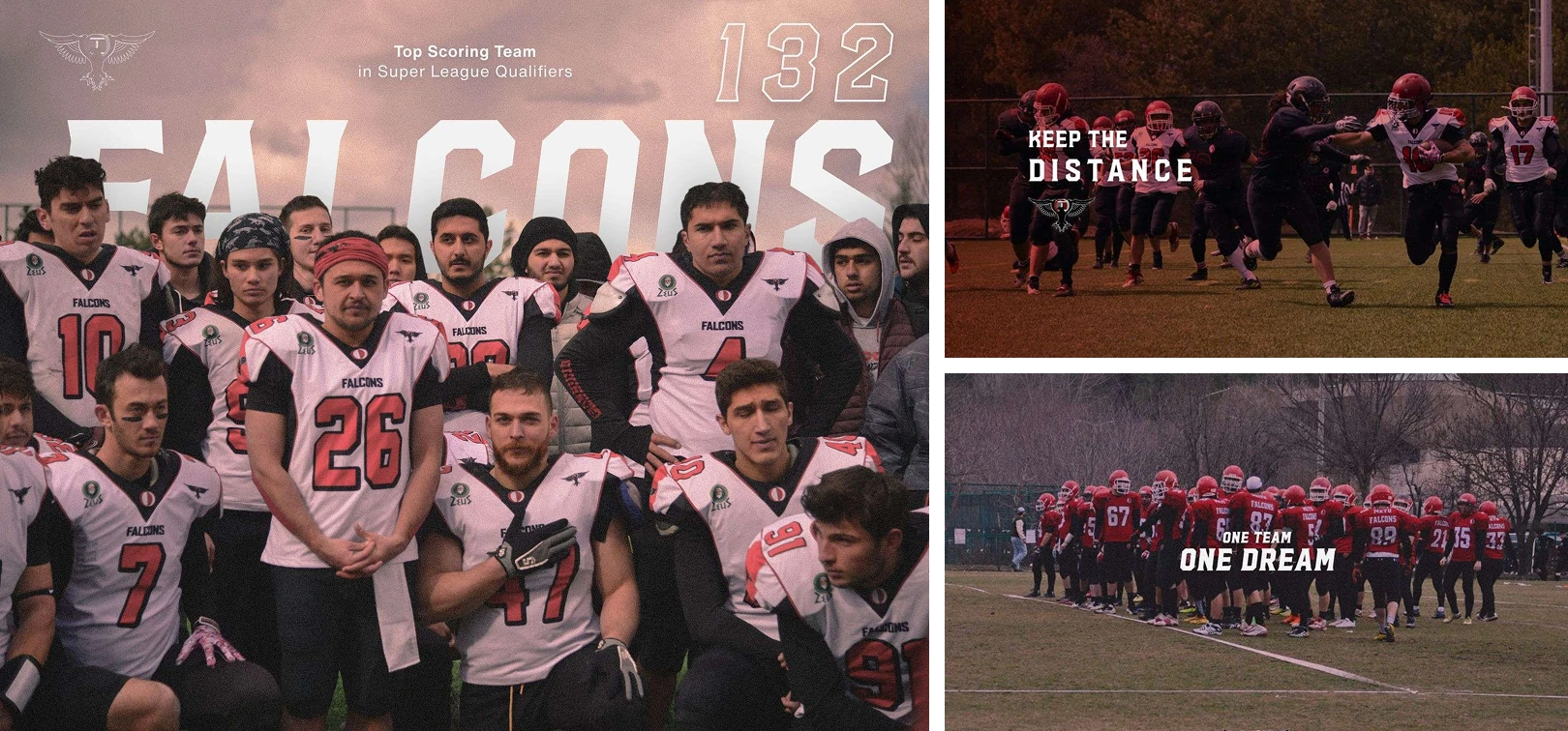 Falcons 02
