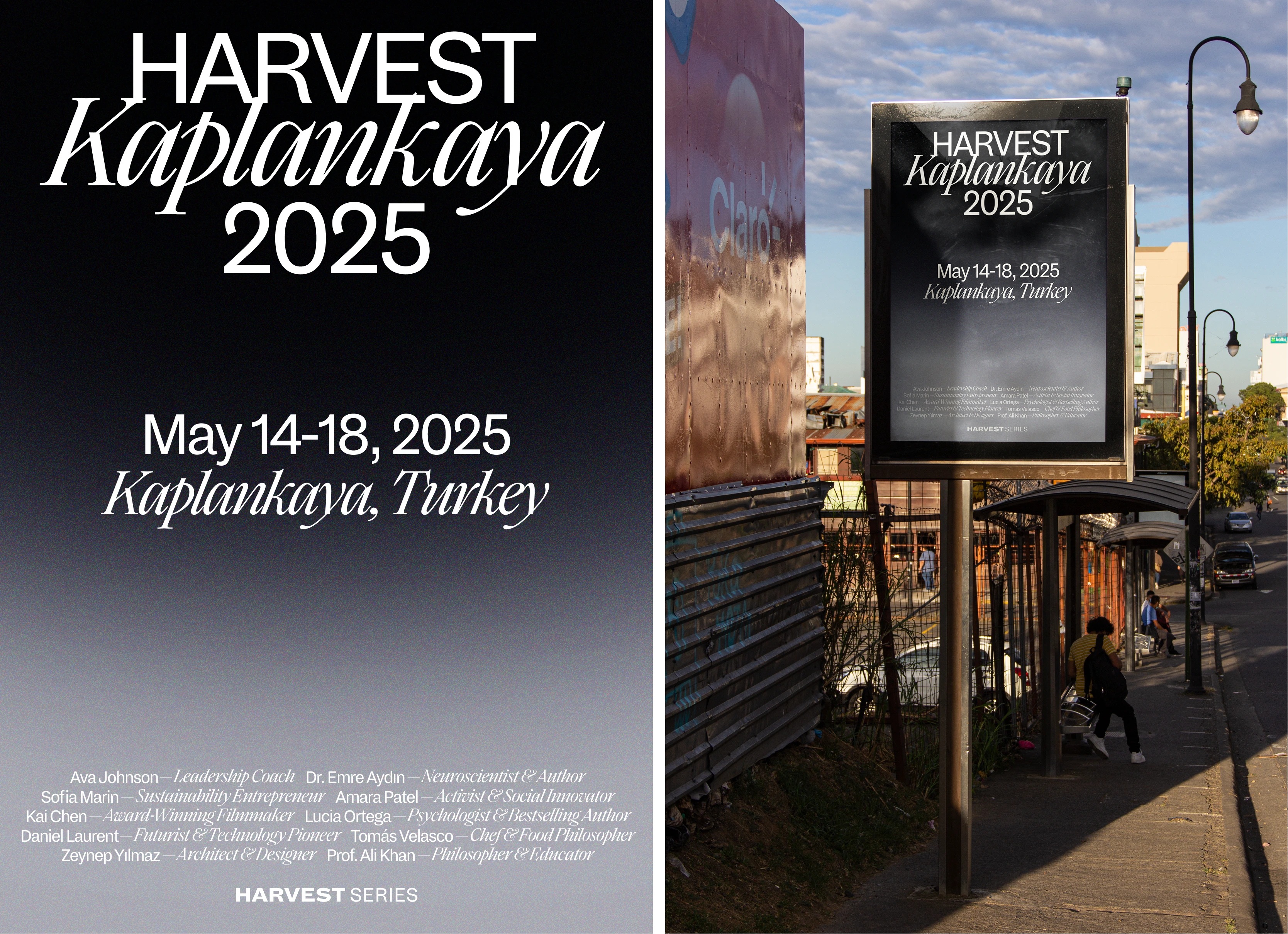 Harvest 06